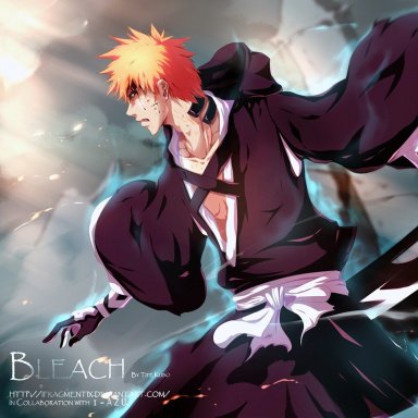 Bleach, Anime Cinematic Universe Wiki