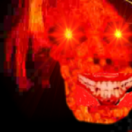 Terryfirut