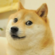 DogeTheBarkingDogeDoge