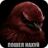 Mgebrat282
