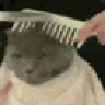 Scrubforhire