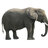 Elephanth
